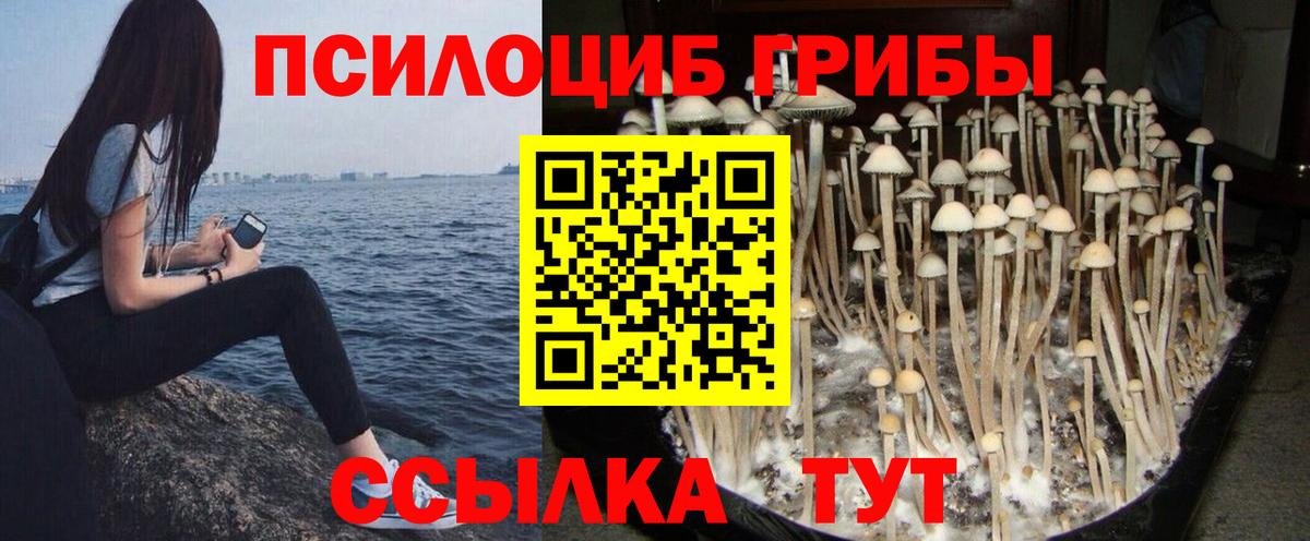 Галлюциногенные грибы ЛСД Черногорск